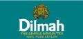 dilmah錫蘭紅茶