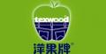 texwood皮短褲